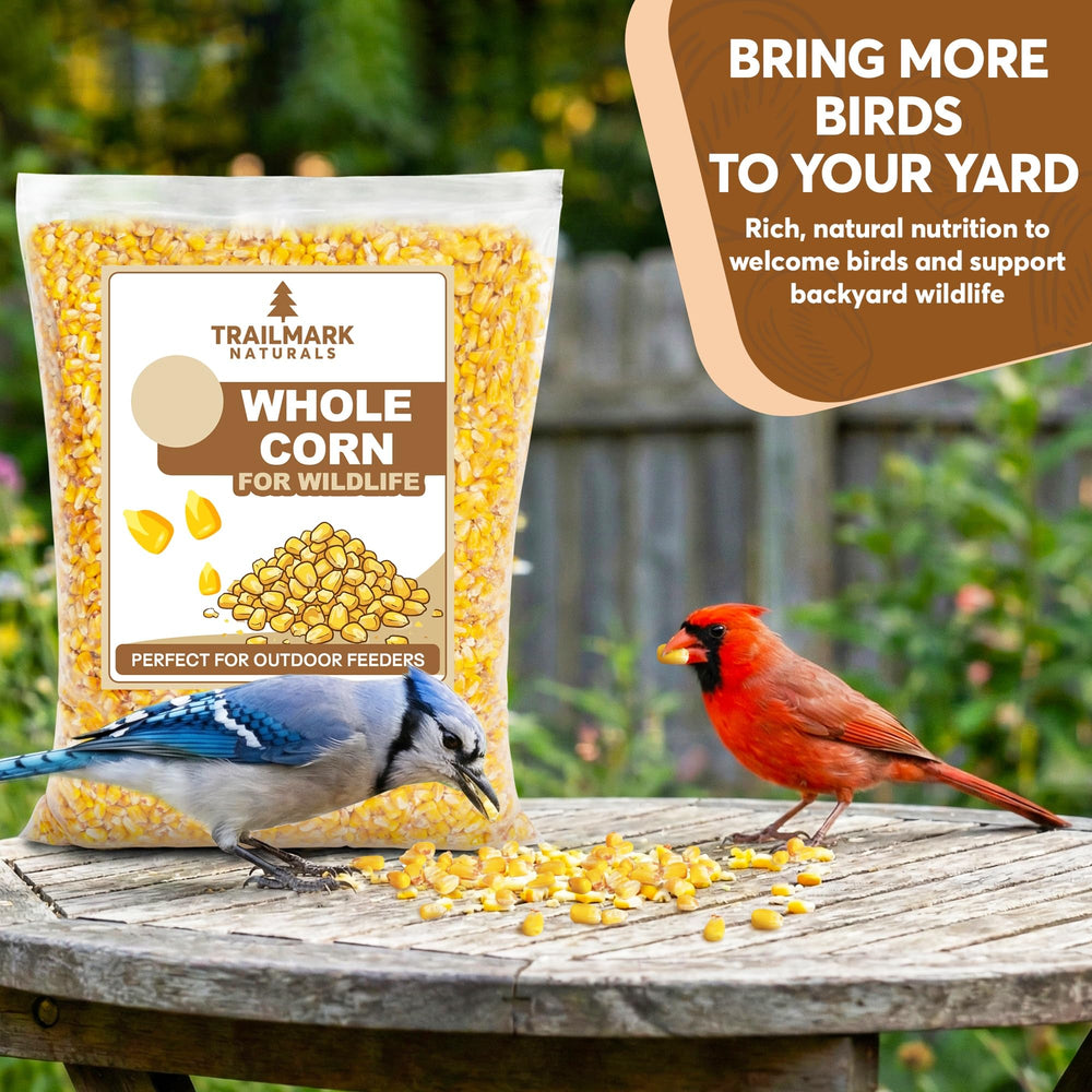 TRAILMARK Naturals bag closeup of whole corn, ideal for backyard birds