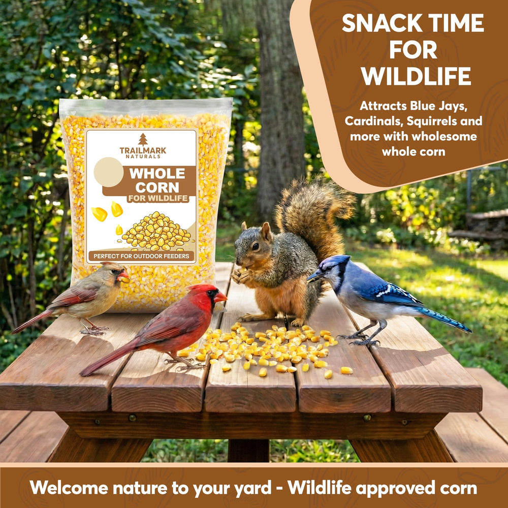 TRAILMARK Naturals whole corn at outdoor feeder attracting cardinals and other birds