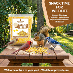 TRAILMARK Naturals whole corn at outdoor feeder attracting cardinals and other birds