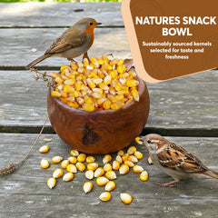 TRAILMARK Naturals corn in a wildlife yard, supporting squirrels and deer