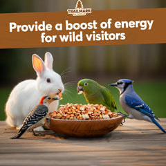 Trailmark Naturals wildlife feed for outdoor stations supports steady bird and squirrel visits.