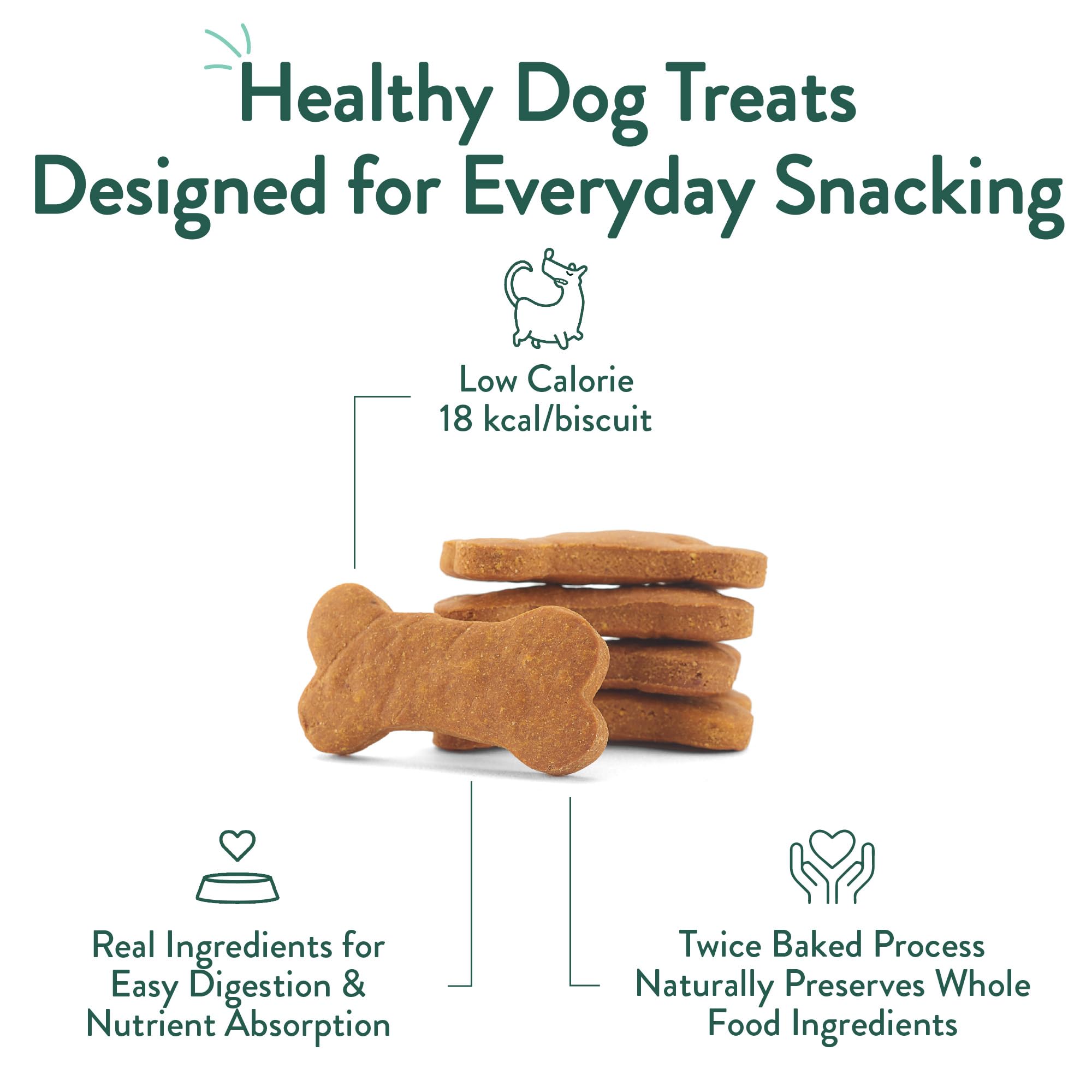 Training treats for dogs in a USA-made bag support rewarding sessions