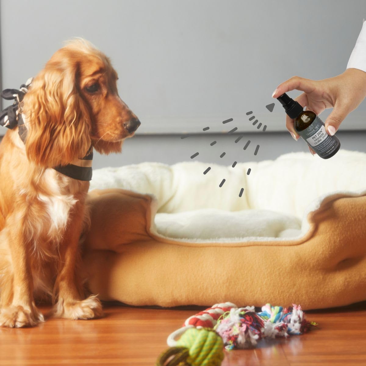 Tranquil Tails Pet Zen on carrier eases anxiety during transport