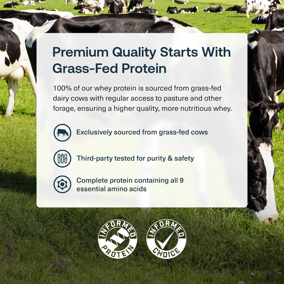 Transparent Labs grass-fed whey label close up showing 28g protein per serving.