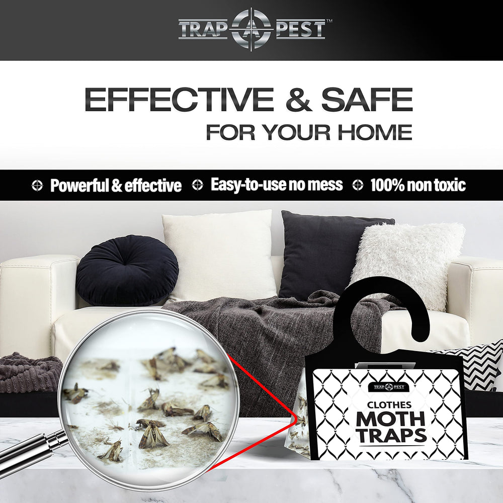 TRAP A PEST sticky sheet close-up highlights odorless attractant and easy peel-and-hang setup.