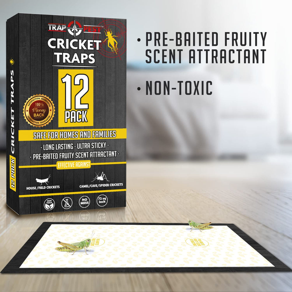 Fruity scented attractant embedded in Trap A Pest glue enhances appeal.