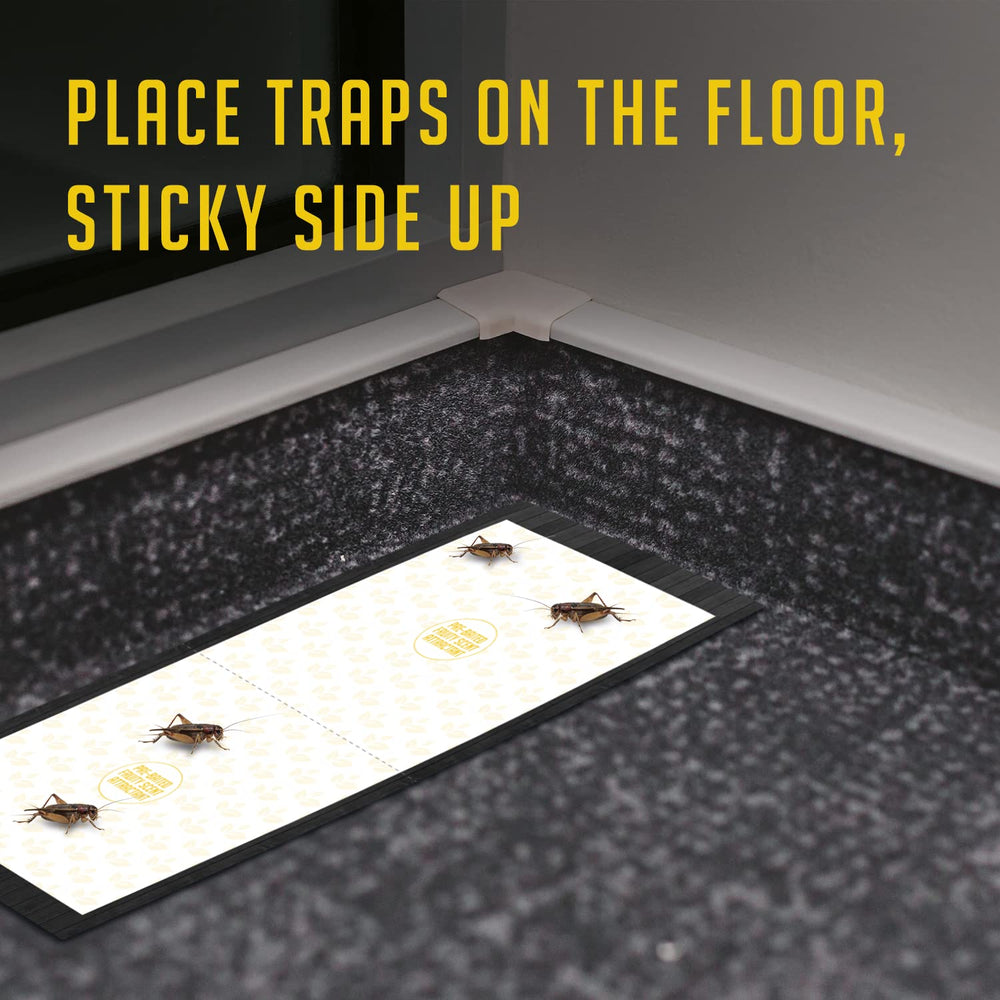 Safe for homes and apartments when placed away from kids and pets.