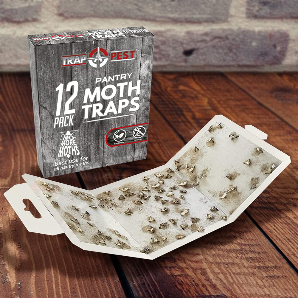 TRAP A PEST aesthetically designed cabinet trap blends with pantry decor
