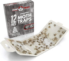 TRAP A PEST glue trap closeup with pheromone lure demonstrates targeted food moth capture