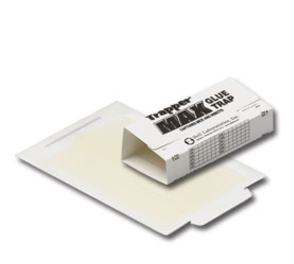Trapper Max glue trap board with peanut butter scent captures mice and insects