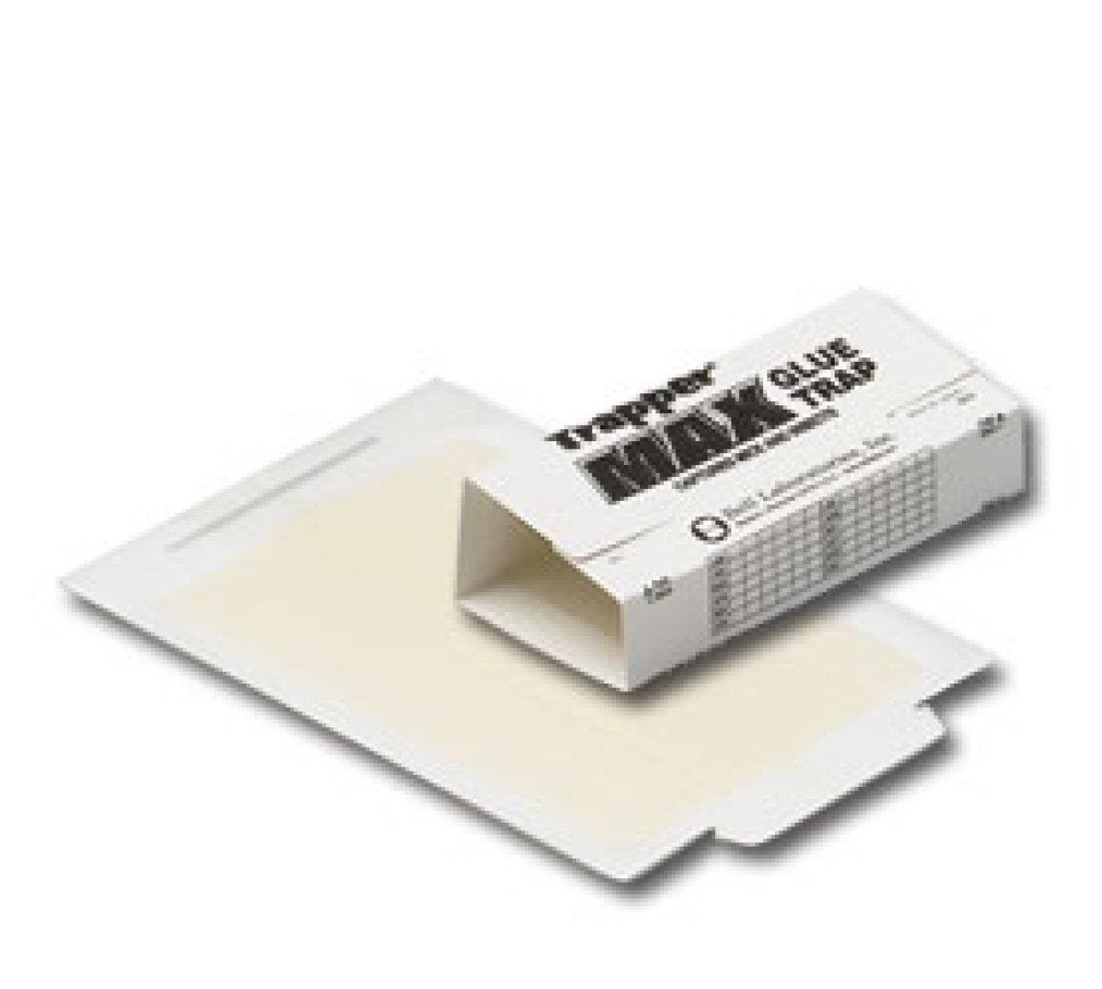 Trapper Max glue trap board with peanut butter scent captures mice and insects