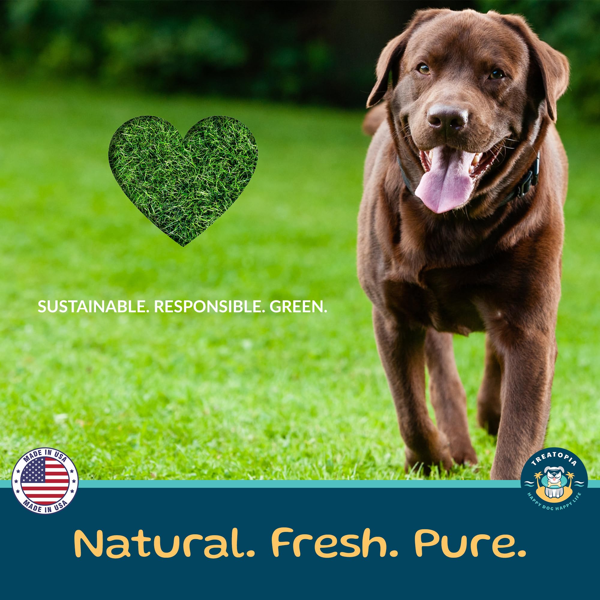 TREATOPIA Beef Lung Nuggies allergy-friendly option suitable for most dogs.