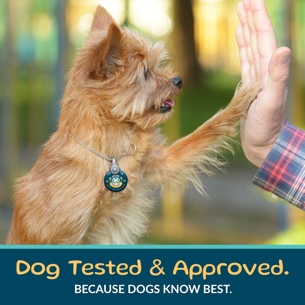 TREATOPIA Beef Lung Nuggies no-fillers guarantee clean ingredient list for mindful treats.