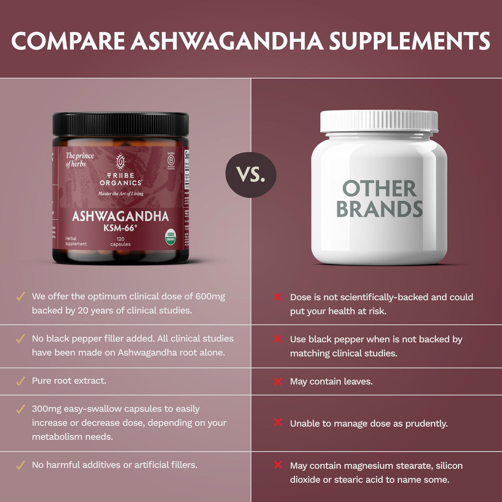 TRIBE ORGANICS capsule bottle placed with workout gear signaling athletic performance benefits.
