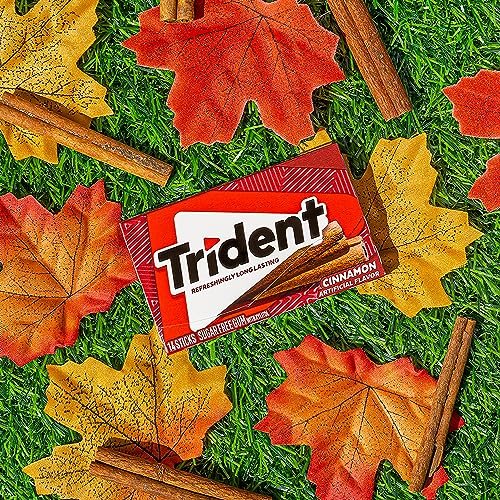 Trident Cinnamon Sugar Free Gum keeps breath fresh during a busy workday