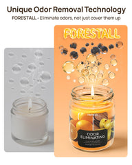 TRINIDa orange-vanilla candle flame close-up highlights clean burn and inviting aroma.