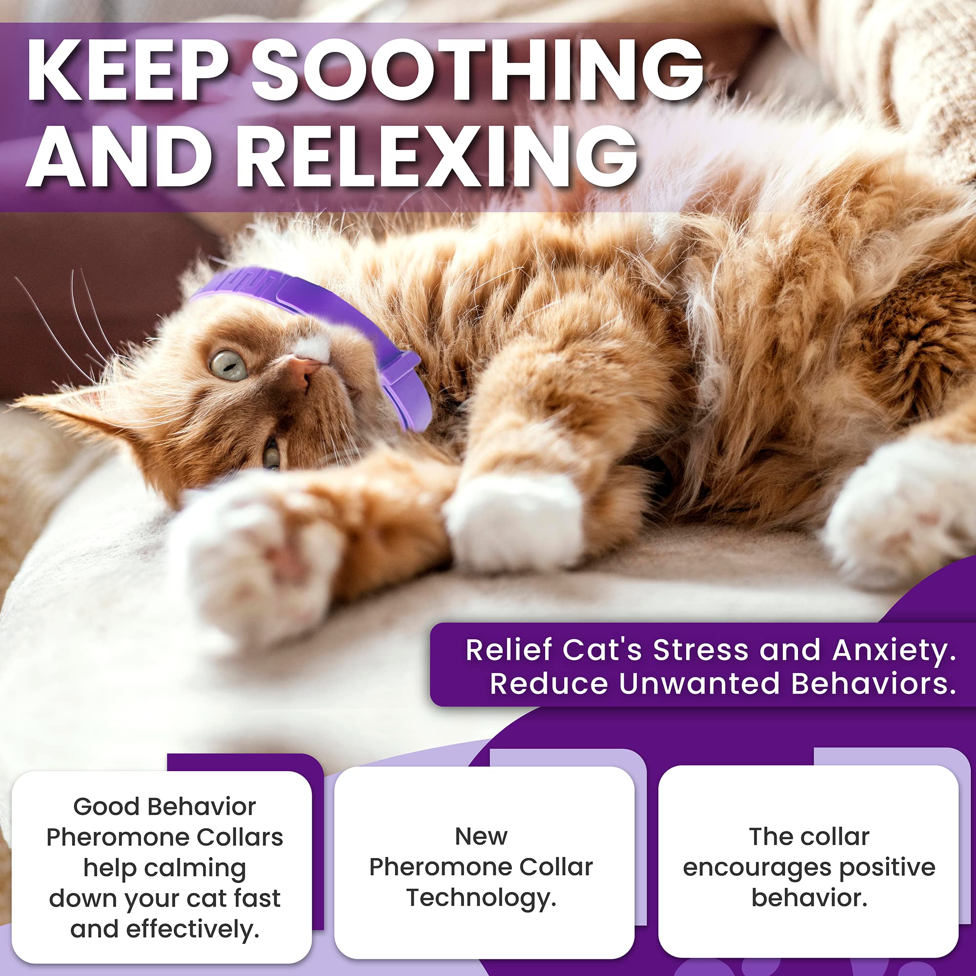 Four-pack TriOak calming collars for continuous calming support