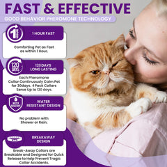 Adjustable TriOak collar fit from kittens to adult cats during travel