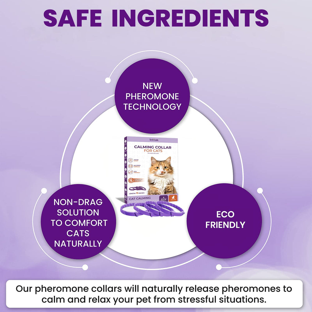 Cat with calmer posture and fewer stress signs with TriOak collar