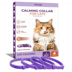 TriOak pheromone calming collar on a cat showing daily stress relief in indoor life