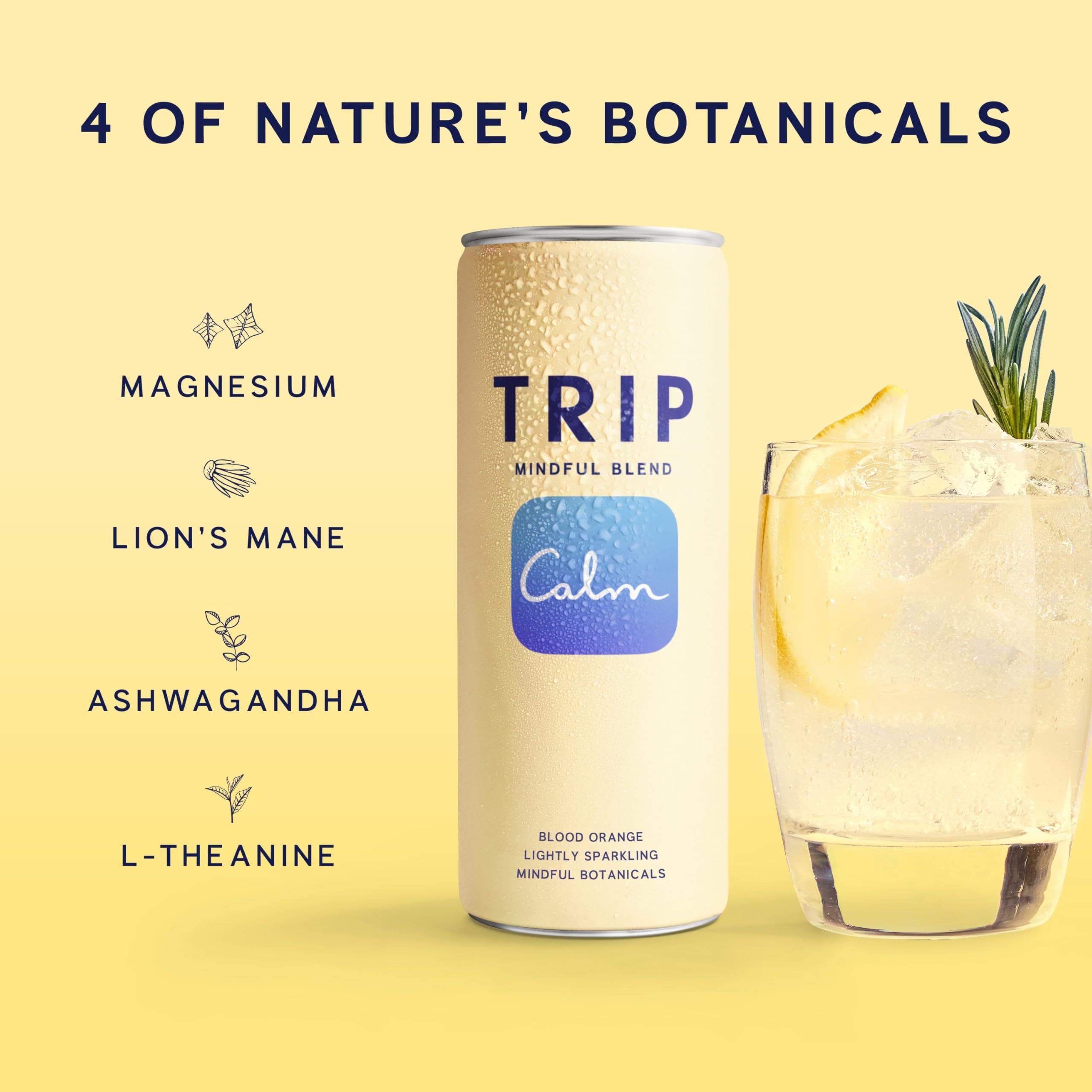 TRIP Lightly Sparkling Ashwaganda bottle highlights a botanical blend for calm flavor.