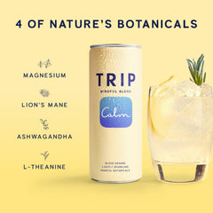 TRIP Lightly Sparkling Ashwaganda bottle highlights a botanical blend for calm flavor.