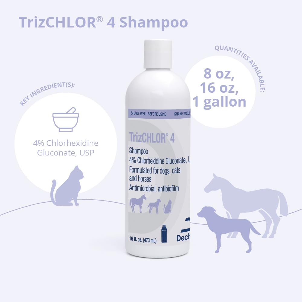 TrizCHLOR 4 shampoo applied to a dog's coat for cleansing