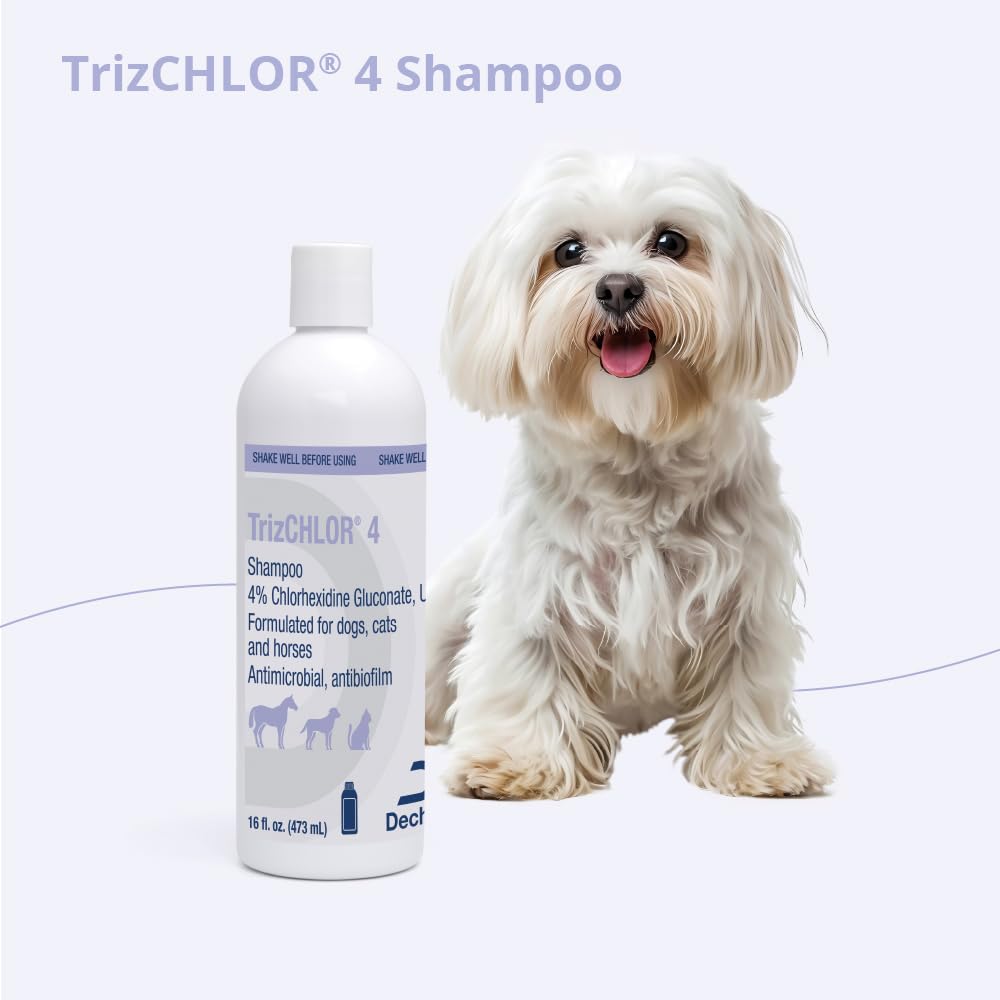 Close-up of coat and skin after TrizCHLOR 4 shampoo cleansing