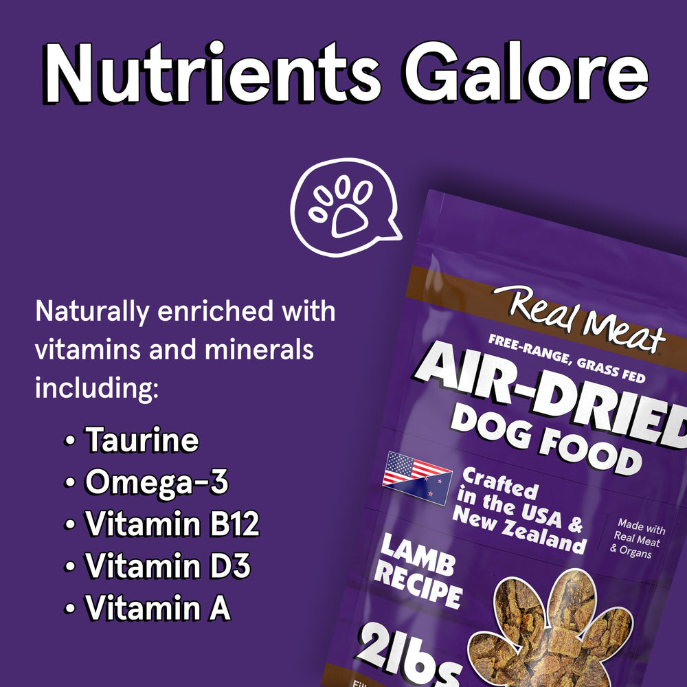 TRMC served dog bowl meal — a flavorful, convenient option for pups at any life stage