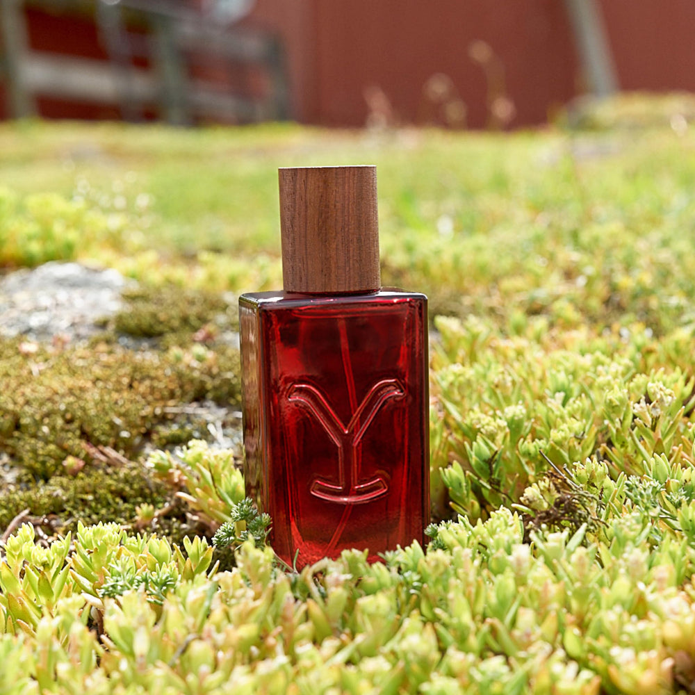Tru Fragrance Beauty Amberwood shot reveals warm base for confident finishes