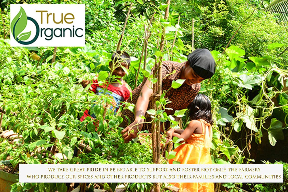 True Organic Ceylon cinnamon sticks from Sri Lanka, premium quality spice.
