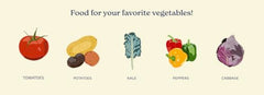 Pouring True Organic Tomato & Vegetable Food for precise two-ounce dosing.