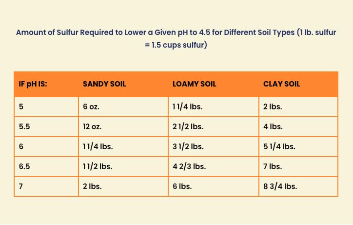 Healthy flowering plants after True Organic Prilled Sulfur application