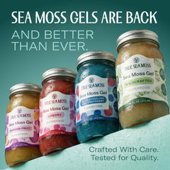 TrueSeaMoss gel jar with label variation on shelf
