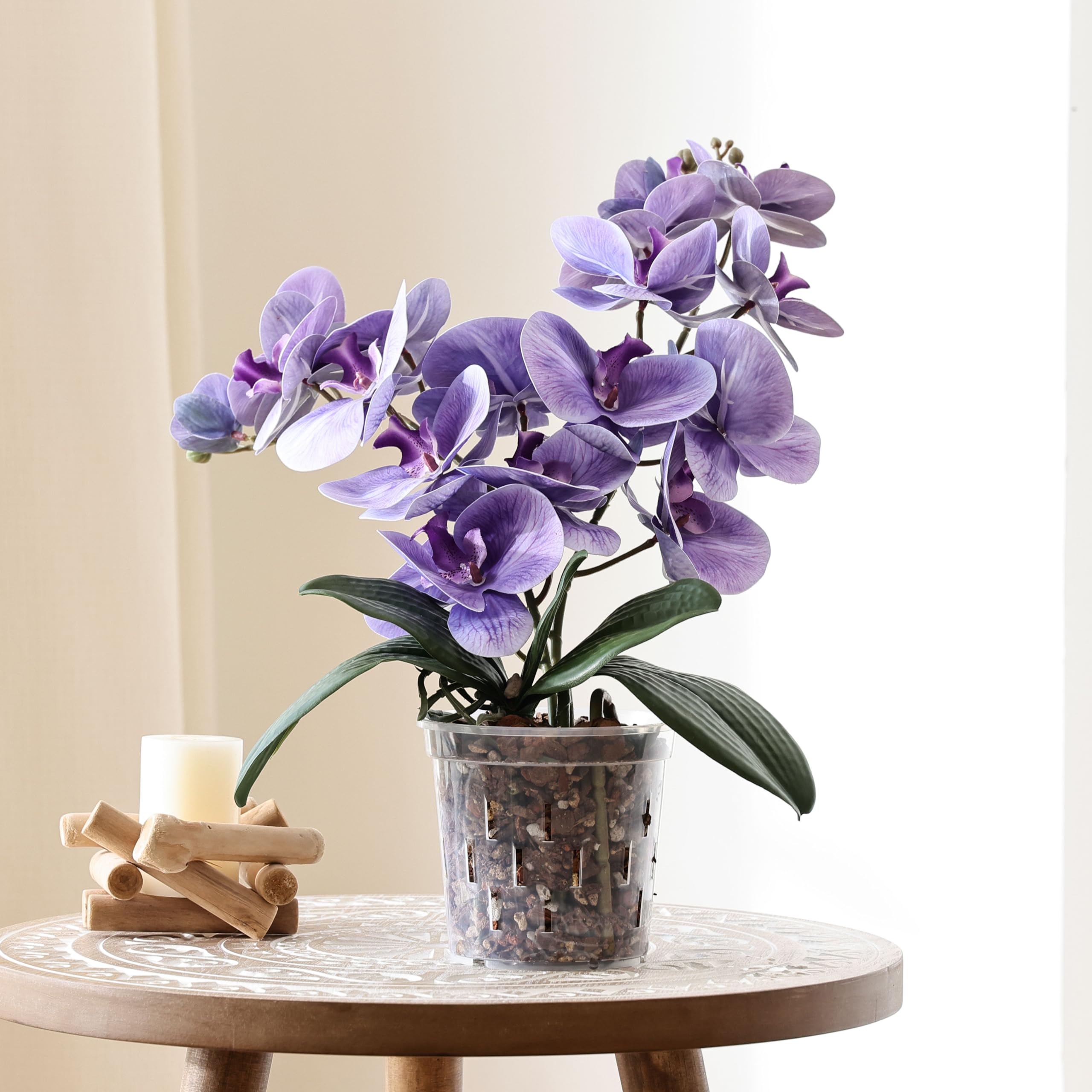 TRUEDAYS compact 4-pack orchid pot set for convenient plant care.