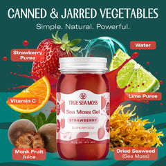 TrueSeaMoss ingredients wildcrafted closeup illustrating diverse harvest partners
