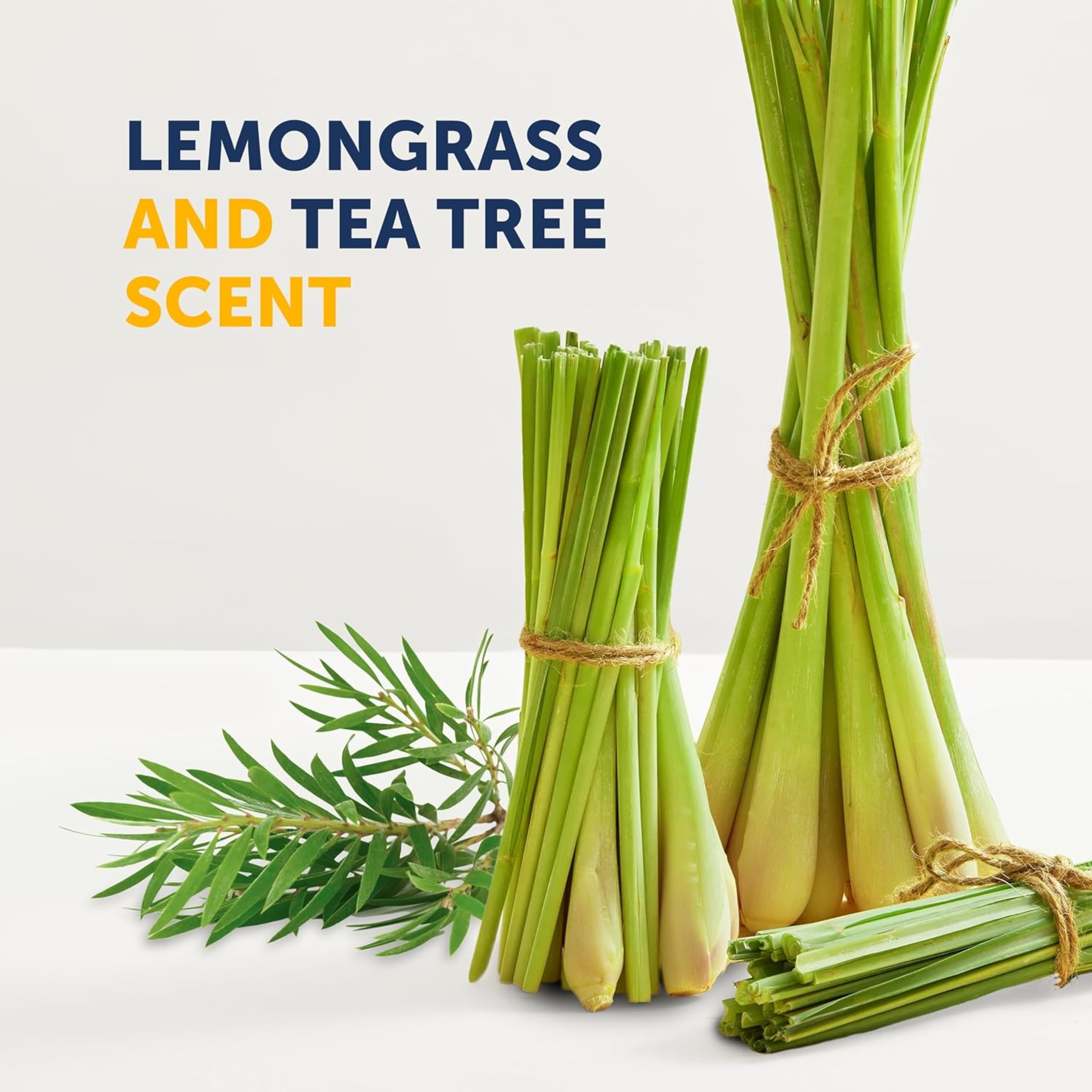 Close-up of rich, moisturizing lather from Truremedy Naturals Tea Tree & Lemongrass
