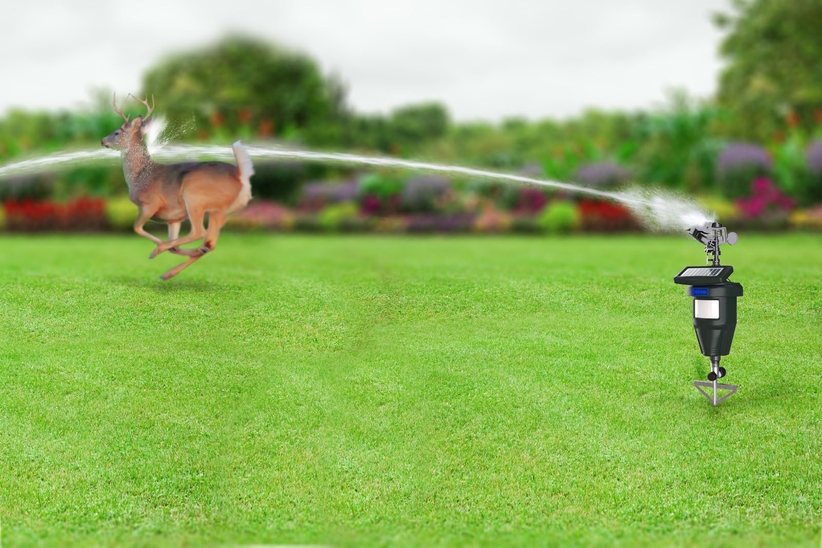 TRURID motion-activated sprinkler keeps outdoor cats away from flower beds