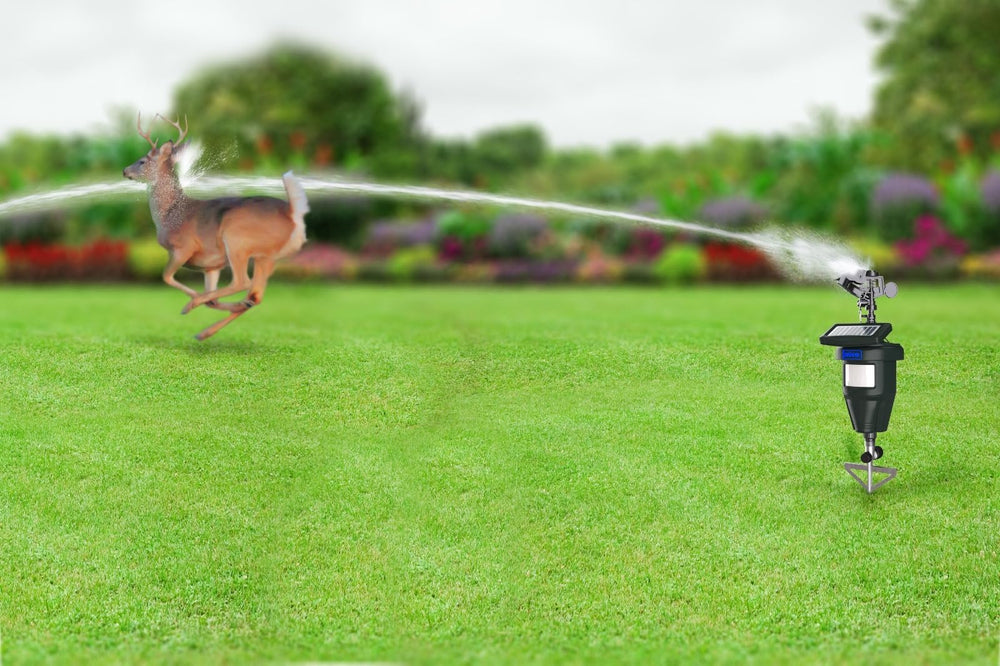 TRURID motion-activated sprinkler keeps outdoor cats away from flower beds
