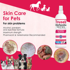 Truseb Aloe Vera gel component highlights soothing ingredient.