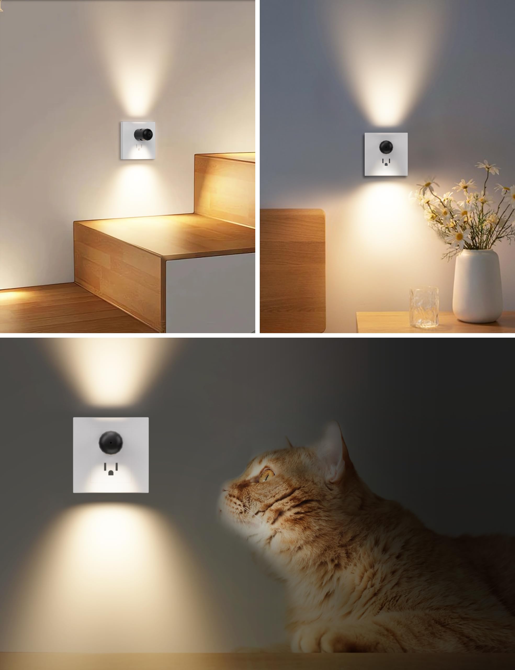 TSEXES stairways night light lights steps for safer nighttime climbs.