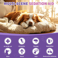 TTIXRL Melatonin dog treats in a calm, peaceful setting.