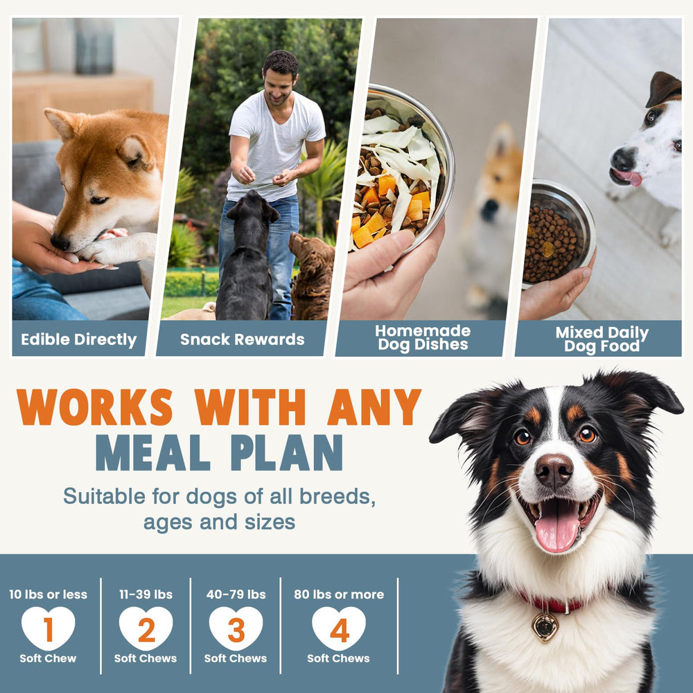 TTLXBL age-friendly immune support packaging hints at senior dog wellness.