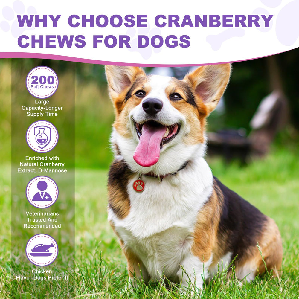 TTLXBL chicken-flavor dog uti treats offer a palatable daily urinary care option.
