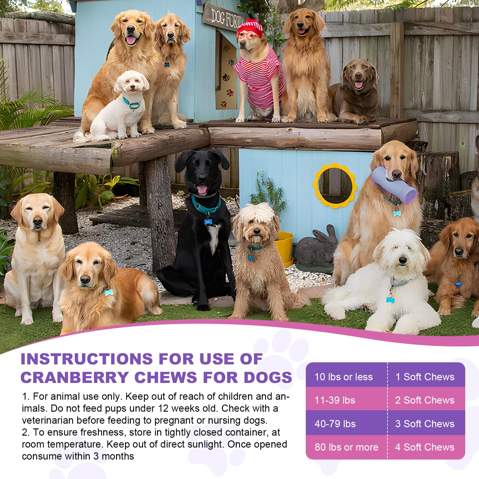 TTLXBL dog bladder-health daily-supplement communicates simple maintenance for urinary health.