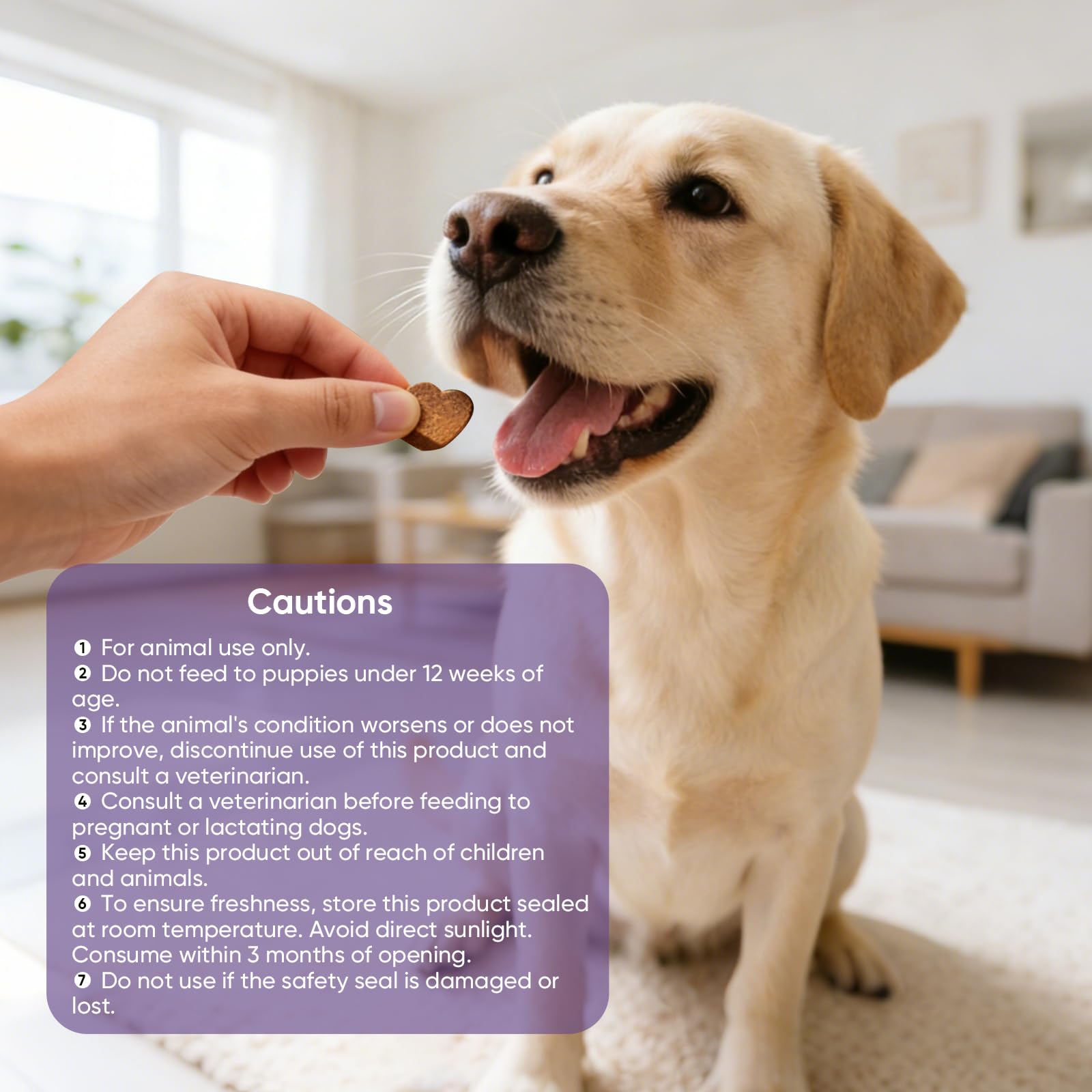 TTLXRL calming chews dog and owner sharing peaceful evening.