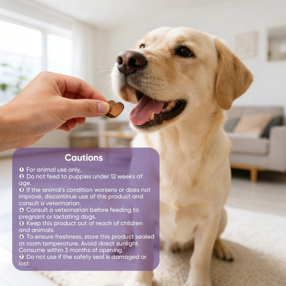 TTLXRL calming chews dog and owner sharing peaceful evening.