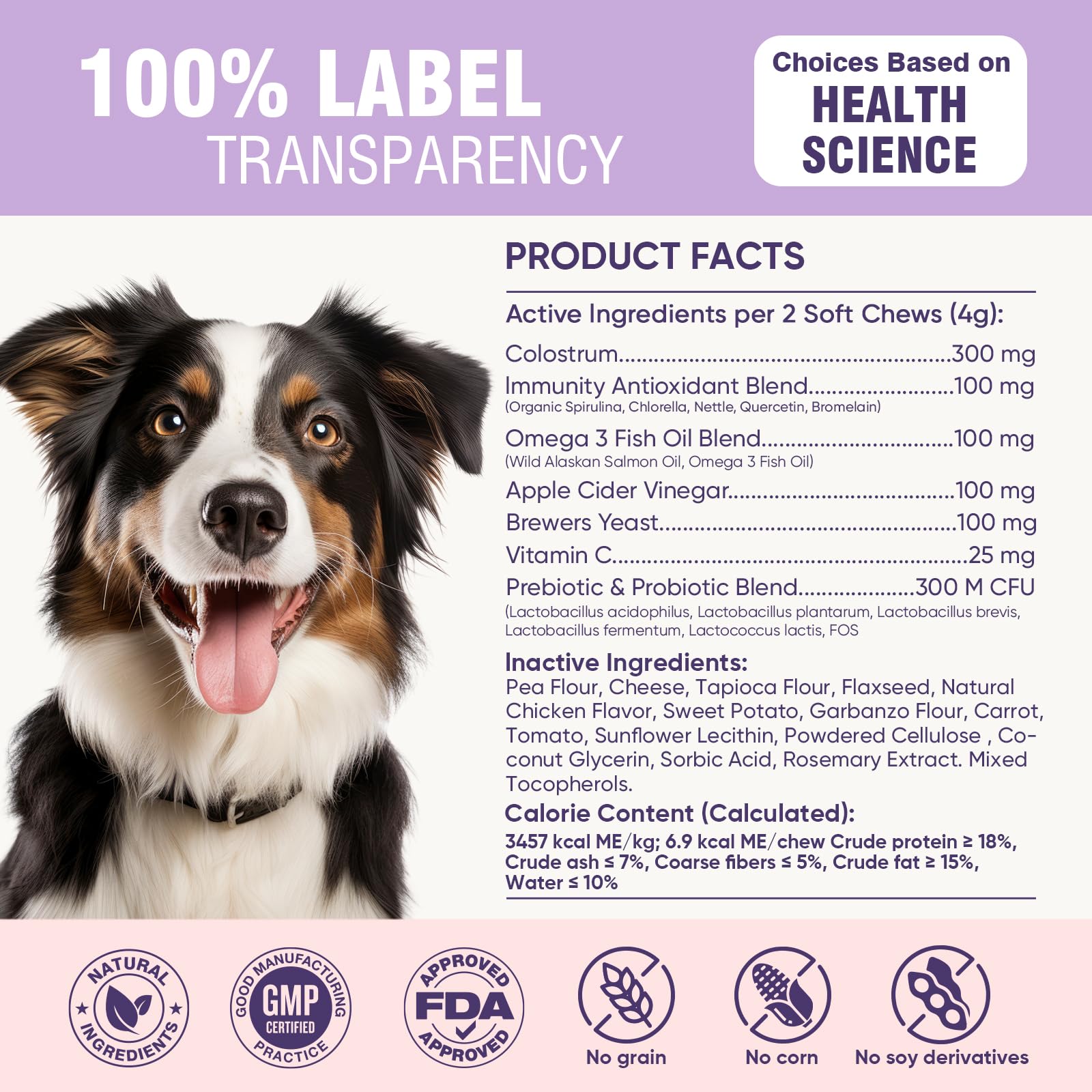 TTLXRL dog allergy chews skin and coat glow visual emphasis.
