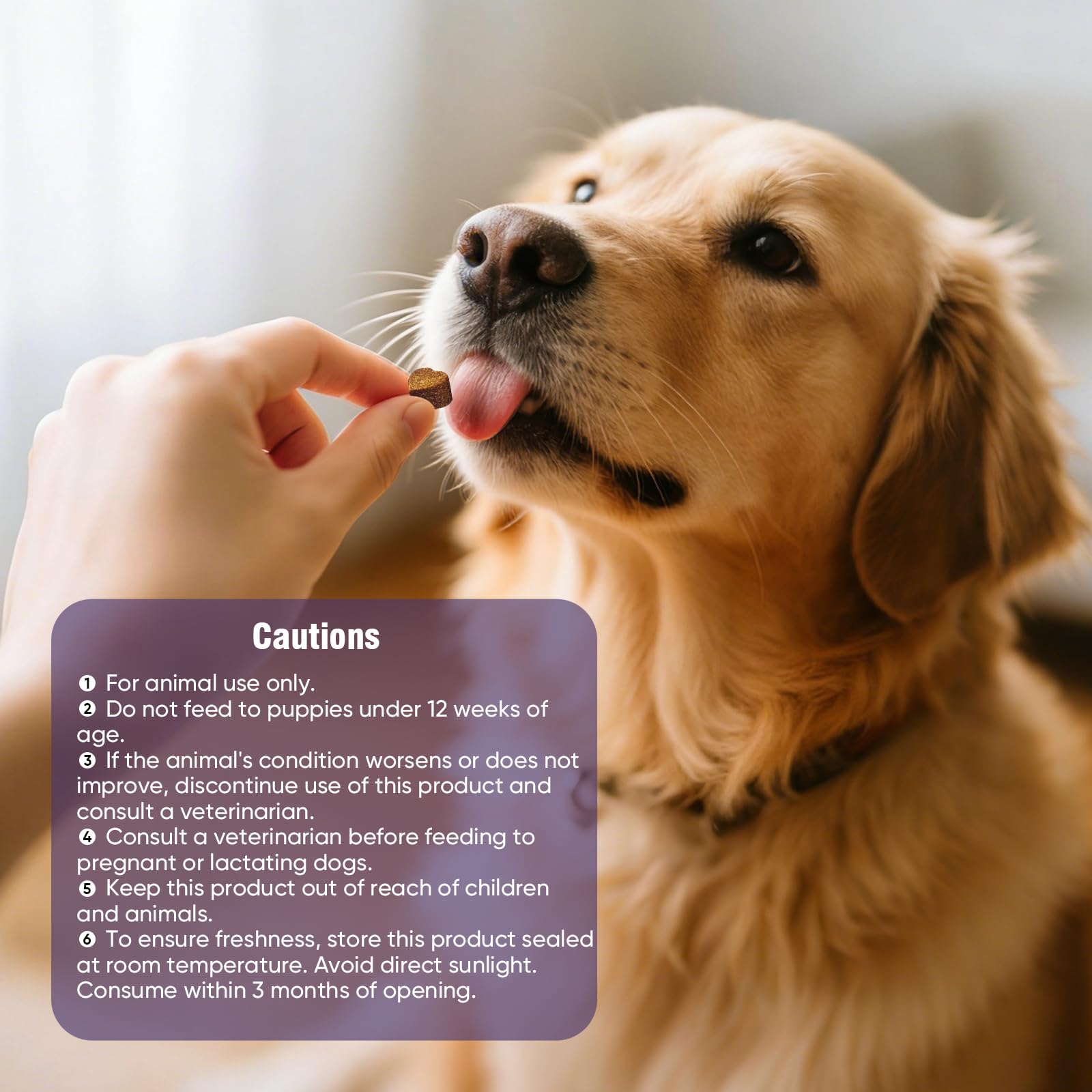 TTLXRL dog coat and skin nourishment from omega-3 rich formula