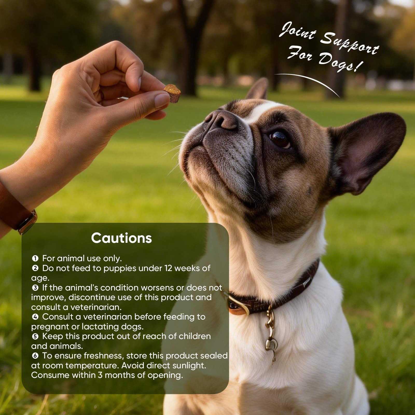 TTLXRL Glucosamine for Dogs daily-use joint chews for dogs support long-term comfort.